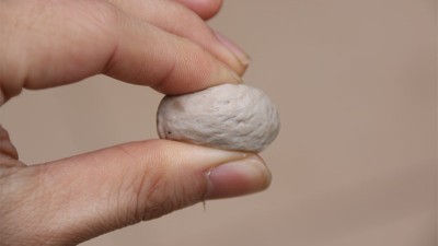 做肉丸用什么可以代替高彈素達(dá)到增彈增脆的效果？