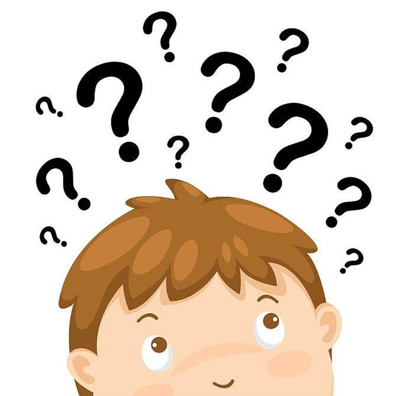 水解雞肝生產寵物誘食劑用什么酶？