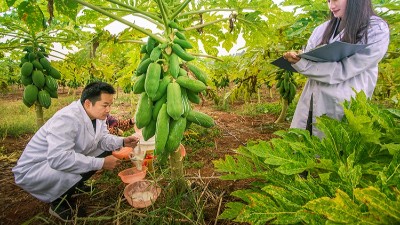 酶制劑公司排名：哪個(gè)廠家在食品、飼料、工業(yè)領(lǐng)域拔得頭籌