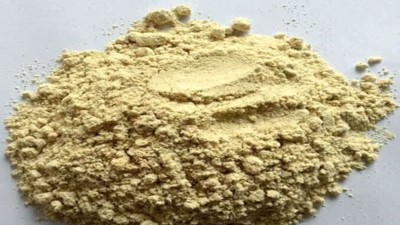 水解大豆分離蛋白做肽可用的酶制劑有哪些？