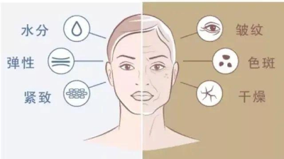 酶解鱈魚皮制備膠原蛋白的影響因素有哪些？