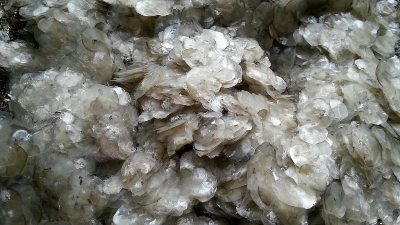 堿性蛋白酶酶解魚鱗制備膠原蛋白多肽，成品有沉淀？