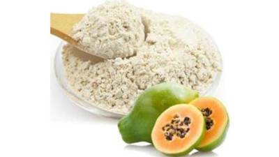 蛋白酶在食品加工中有哪些作用？