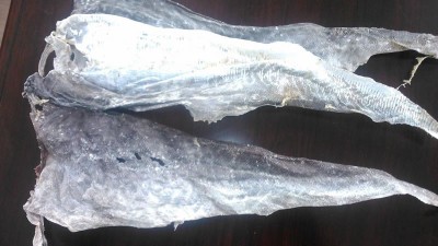 堿性蛋白酶及復(fù)合酶，哪個適合魚皮膠原蛋白肽的生產(chǎn)提??？