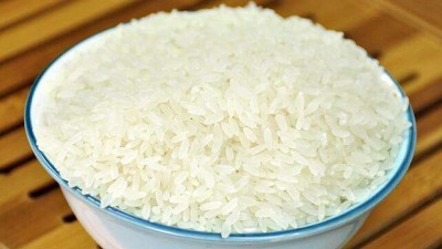 制取大米蛋白肽，需要用到的酶制劑有哪些？