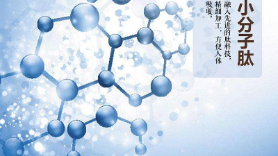 關于蛋白質(zhì)與蛋白肽的區(qū)別，您有了解多少？
