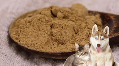 如何酶解雞肝粉生產(chǎn)熱反應型寵物誘食劑？