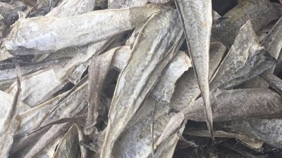 水解魚皮做膠原蛋白肽有苦味，風(fēng)味酶能去除苦味嗎？