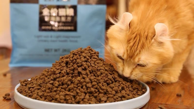 如何酶解雞肝粉提高貓糧誘食劑誘食性？